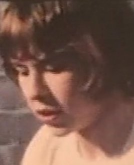 XNK8113